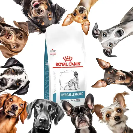 ACC-HYPOALLERGENIC MODER. CALORIE 2KG ROYAL CANIN